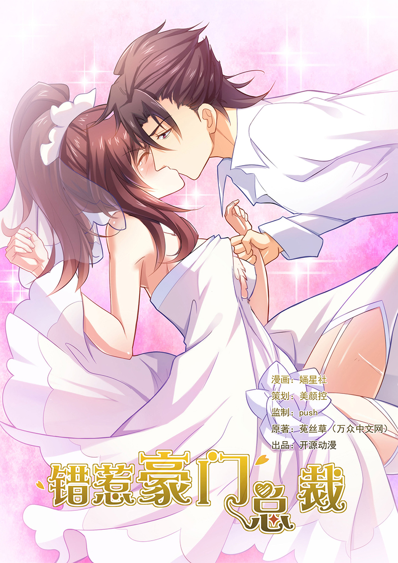 错惹豪门总裁